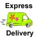 Express Delivery